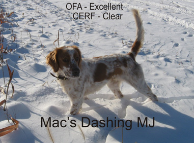 Mac's Dashing MJ