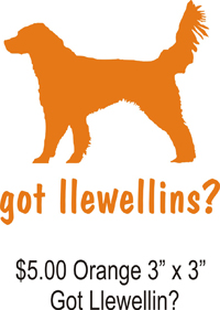 got llewellins?