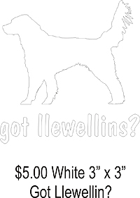got llewellins? White