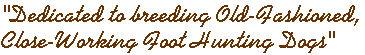 Dedicated to breeding old-fashioned, close-working foot hunting dogs